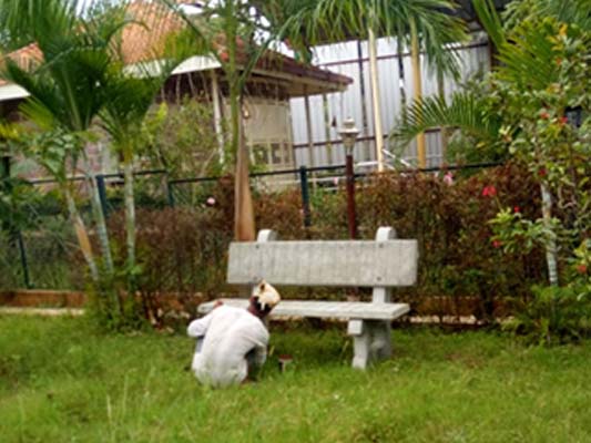 Gowdanahalli, Shivapura Post, Dasanapura Hobali, Bangalore North Behind RTO Office.